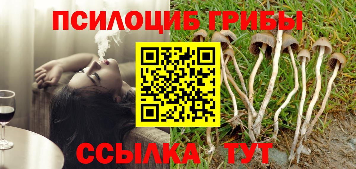 Псилоцибиновые грибы GOLDEN TEACHER  Галлюциногенные грибы ЛСД  Фурманов  Вход с VPN 